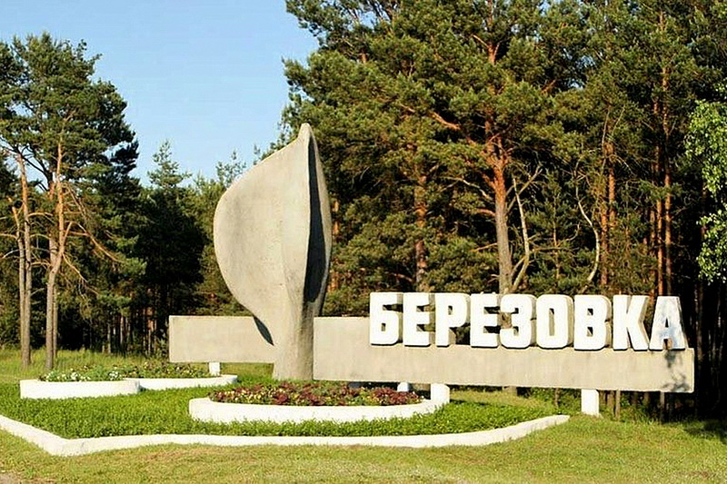 город Березовка